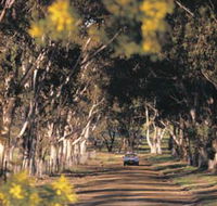 Albert Facey Heritage Trail - Phillip Island Accommodation