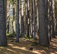 Sugarpine Walk - Phillip Island Accommodation
