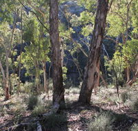 Mount Gray walking track - Phillip Island Accommodation