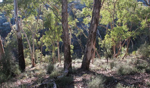 Mount Gray Walking Track - Phillip Island Accommodation 0