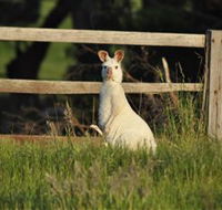 Panorama Garden Estate - Phillip Island Accommodation