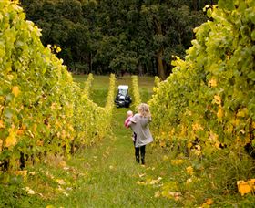 Polperro Winery - Phillip Island Accommodation 7