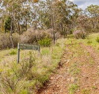 Old Mountain Road Walking Track - Phillip Island Accommodation