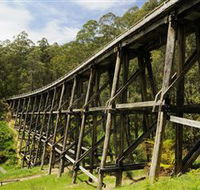 Noojee Trestle Bridge - Phillip Island Accommodation