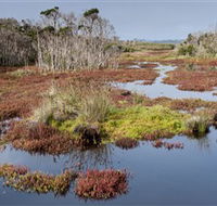 French Island National Park - Phillip Island Accommodation