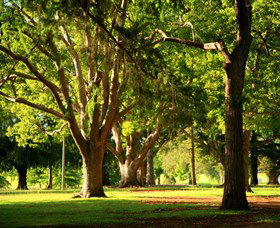 Queens Park, Toowoomba - Phillip Island Accommodation 1
