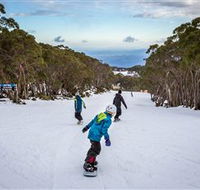 Mt Baw Baw Alpine Resort - Phillip Island Accommodation