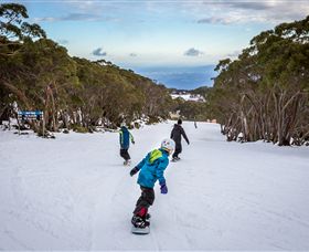 Mt Baw Baw Alpine Resort - Phillip Island Accommodation 0