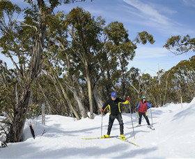 Mt Baw Baw Alpine Resort - Phillip Island Accommodation 4