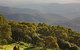 Mt Baw Baw Alpine Resort - thumb 6