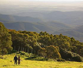 Mt Baw Baw Alpine Resort - Phillip Island Accommodation 6