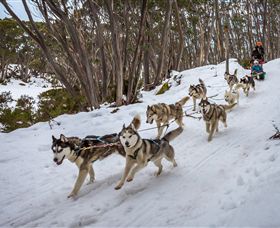 Mt Baw Baw Alpine Resort - Phillip Island Accommodation 5