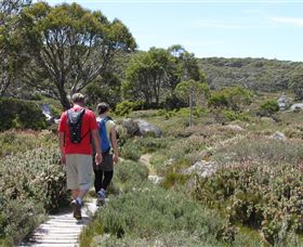 Mt Baw Baw Alpine Resort - Phillip Island Accommodation 7