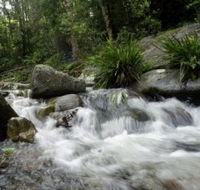 Washpool National Park - Phillip Island Accommodation