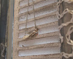 Sacs On Jenkins - Phillip Island Accommodation 6