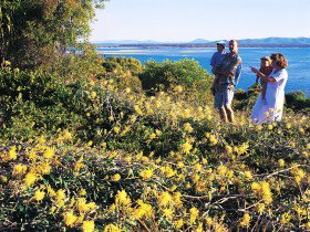 Joseph Banks Conservation Park - Phillip Island Accommodation 0