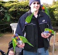 Canberra Walk In Aviary - Phillip Island Accommodation