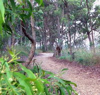 Mount Mutton Walking Trail - Phillip Island Accommodation