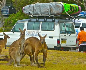 Surfaris Surf Camp - Phillip Island Accommodation 3