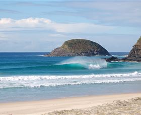 Surfaris Surf Camp - Phillip Island Accommodation 4