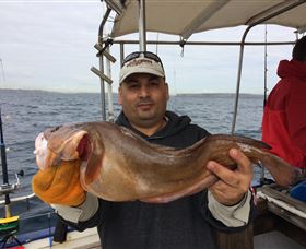 Deep Sea Fishing Charter - Phillip Island Accommodation 5