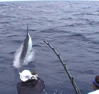 Amokura Charters - Phillip Island Accommodation