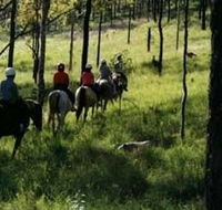 Hunter Valley Horse Riding and Adventures - Phillip Island Accommodation