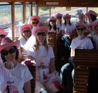 Newcastles Famous Tram - Phillip Island Accommodation