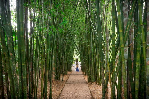 Crystal Castle & Shambhala Gardens - Phillip Island Accommodation 1