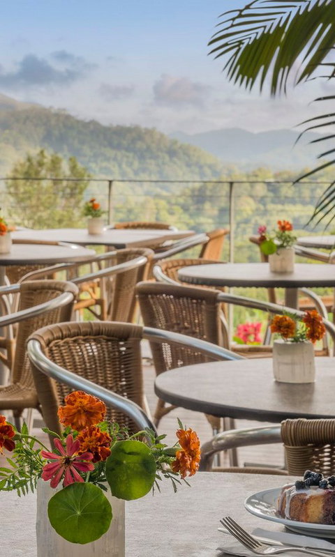 Crystal Castle & Shambhala Gardens - Phillip Island Accommodation 2