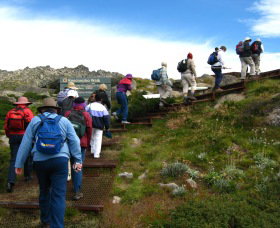 High Country Motel Tours - Phillip Island Accommodation 2