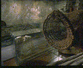 Australian Museum - Phillip Island Accommodation 3