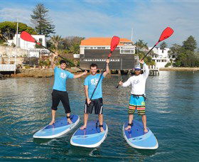 Sydney Scenic SUP - Stand Up Paddle Tours - Phillip Island Accommodation 1