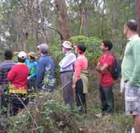 Boronia Tours - Phillip Island Accommodation