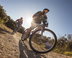 Royal National Park - Phillip Island Accommodation 1