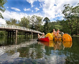 Royal National Park - Phillip Island Accommodation 0