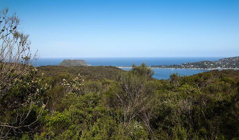 Aboriginal Heritage Walk - Phillip Island Accommodation 1