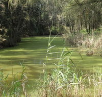 Second Ponds Creek walk - Phillip Island Accommodation