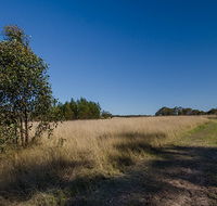 Scheyville horse riding trails - Phillip Island Accommodation