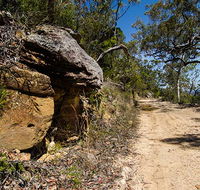 Canoelands Ridge walking track - Phillip Island Accommodation