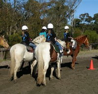 Darkes Forest Riding Ranch - Phillip Island Accommodation