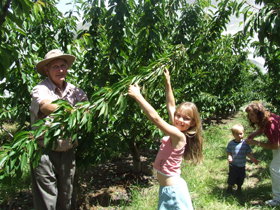 Forest Range ACT Phillip Island Accommodation