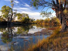 Murray River National Park - Phillip Island Accommodation 0