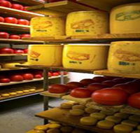 Alexandrina Cheese Company - Phillip Island Accommodation