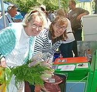 Victor Harbor Farmers Market - Phillip Island Accommodation