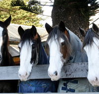 Victor Harbor Horse Drawn Tramway - Phillip Island Accommodation