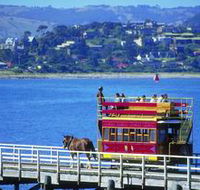 Granite Island Recreation Park - Phillip Island Accommodation