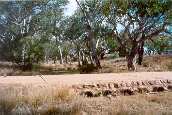 Charleville - Ward River Fishing Spot - Phillip Island Accommodation 1