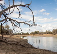 Toorale National Park - Phillip Island Accommodation