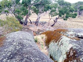 Tolmer Rocks - Phillip Island Accommodation 1
